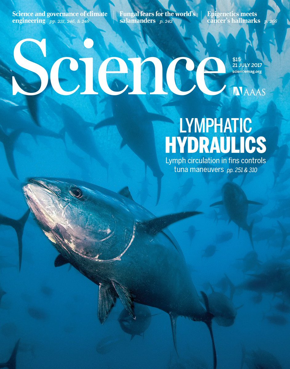 ScienceMagazine's tweet photo. Molecular pulleys, tuna hydraulics, and "cash for carbon" in our newest issue: https://t.co/WQ0ymFgfn6 https://t.co/okbdFvswu2