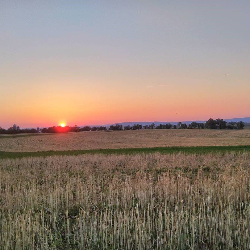 Summertime sunsets 🌿☀️ #robincam PC: nickjamesvisuals on IG