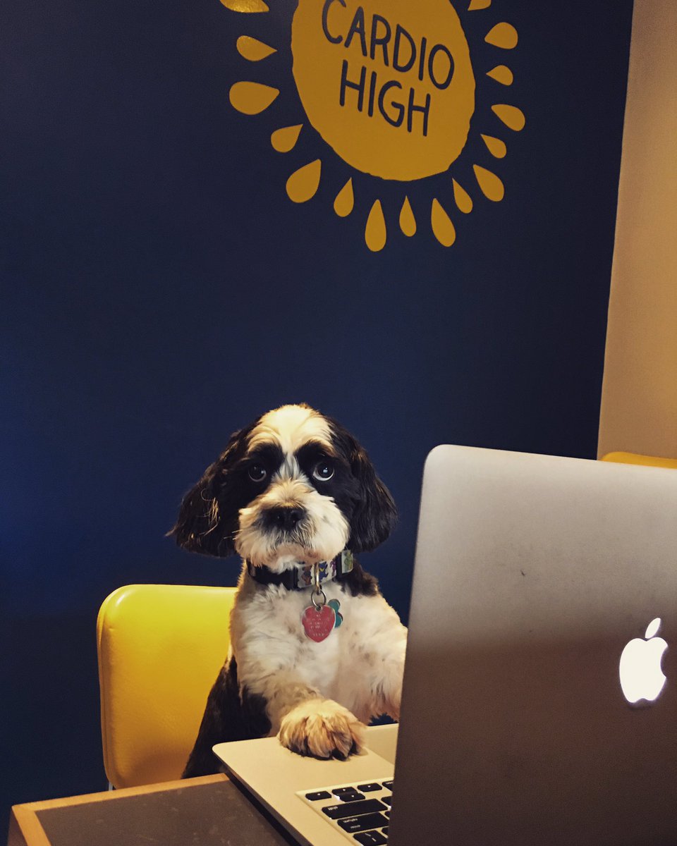 Jerry loves working out at Cardio High. 

Jerry uses the MINDBODY app or MINDBODY online to sign up for classes. 

Be like Jerry.