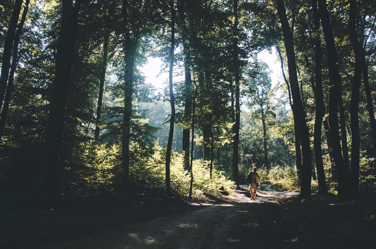 huckensupplyco's tweet photo. Wander where the wifi is weak https://t.co/w192s3y3AU