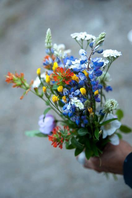 Veldbloemen daar hield mijn moeder van#20juni 2003