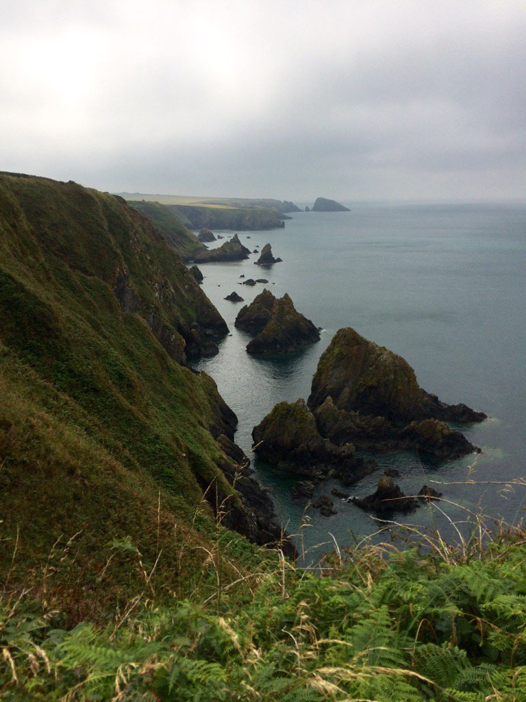 andywyman's tweet photo. @WalesCoastPath @visitwales on the #PembsCoastPath https://t.co/XZ6Ks4YNX7