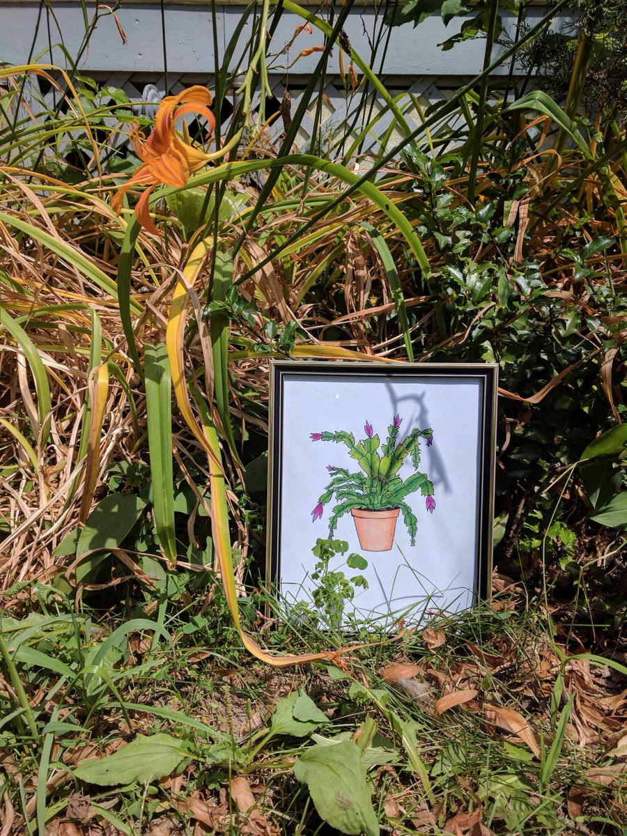 equalateral's tweet image. .@EmDiCarlo &amp;amp; @JacquiArntfield invite u to remember the plants u've loved &amp;amp; lost for @CivicStudiesCA @bigonbloorfest civicstudies.ca/gardencentre/