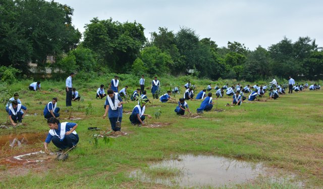 SAILBSP1's tweet photo. 10000 saplings planted at 21 locations as state celebrated Hariyar Chhattisgarh. Planting1.3 lakh saplings targeted this monsoon @SAILsteel https://t.co/jjWN82s5Og
