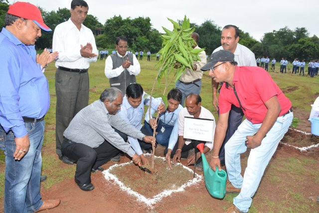 SAILBSP1's tweet photo. 10000 saplings planted at 21 locations as state celebrated Hariyar Chhattisgarh. Planting1.3 lakh saplings targeted this monsoon @SAILsteel https://t.co/jjWN82s5Og
