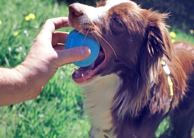 Laura Crossam tweet media