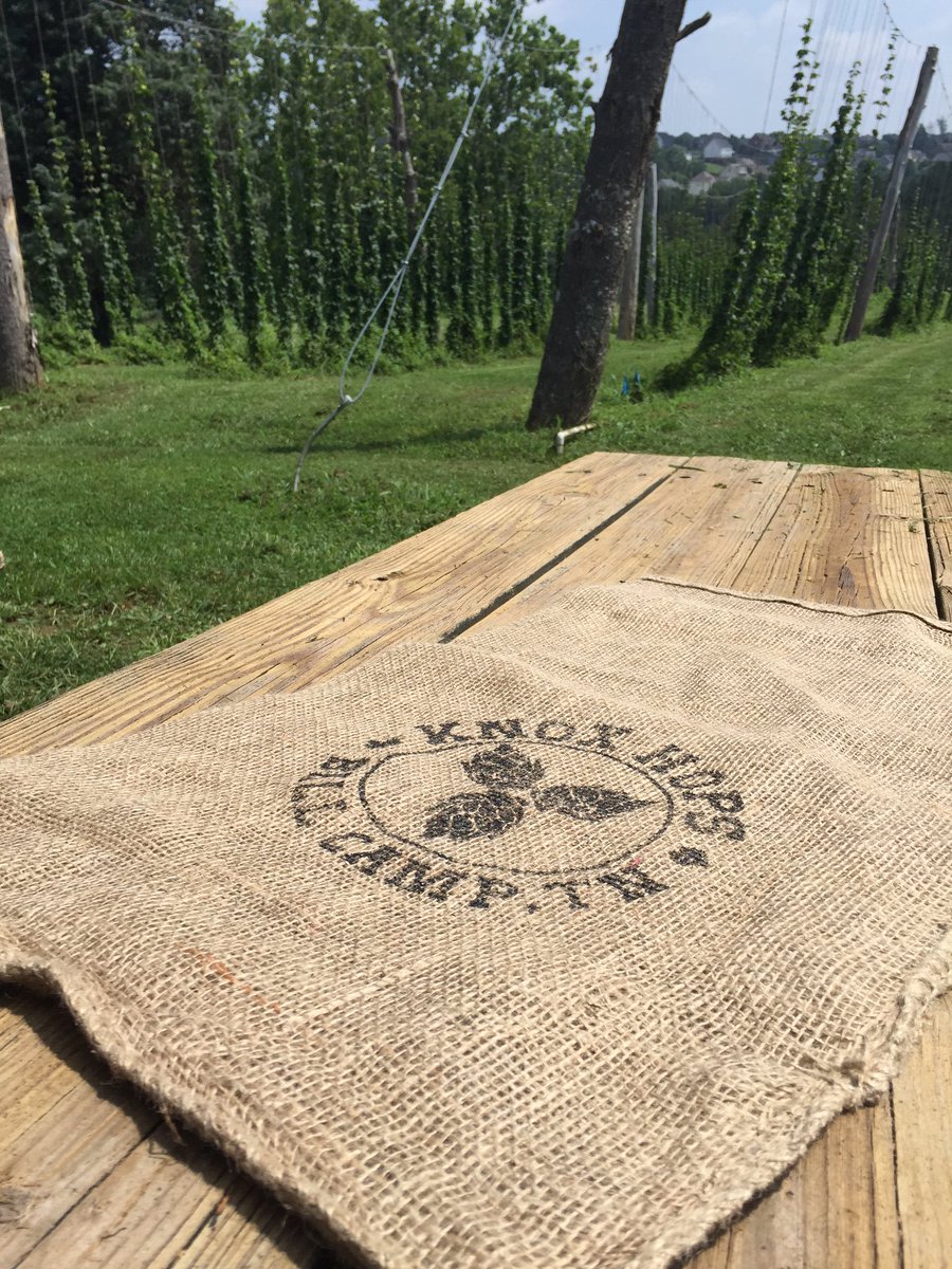 KnoxHops865's tweet photo. Mother Nature brings us a Hot Harvest this year what do you do she's in charge! We are getting ready! Can't wait! https://t.co/qpXwcpEF7f