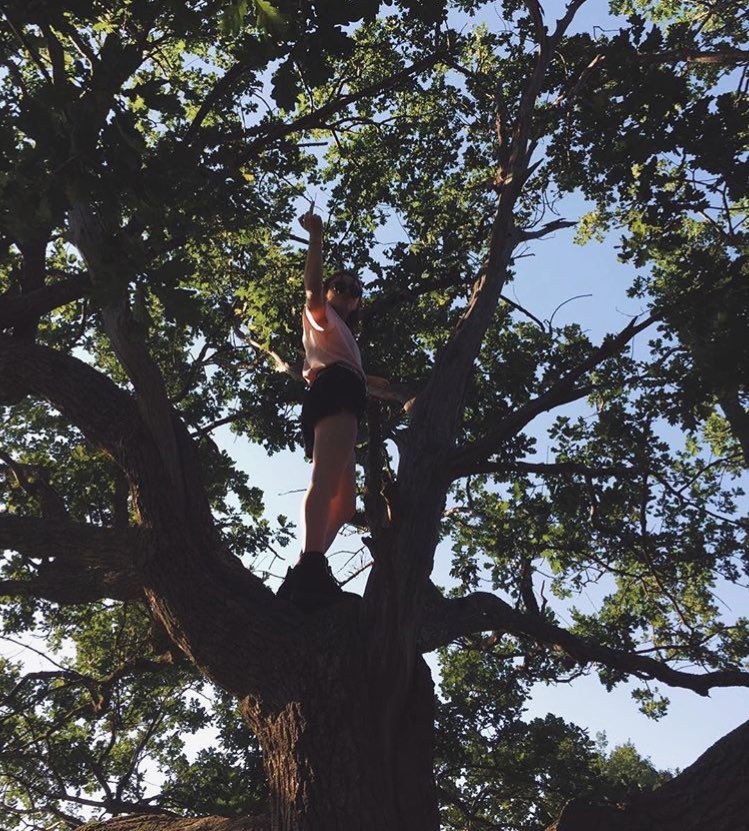 Cass_Cahill's tweet photo. @Lukas_Yung told @ValerieCahill_ to stop being childish and get down from the tree. This is how she felt about that I guess 😂 https://t.co/KqgXiWeStX