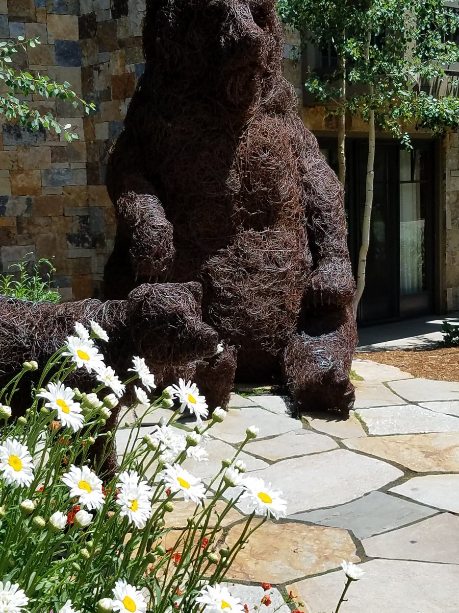 intownmom's tweet photo. @FourSeasons #FSVailBears Vail is beautiful in the summer, but I had trouble leaving the cozy fireplace in my room this morning. https://t.co/IJzPEMsFbM