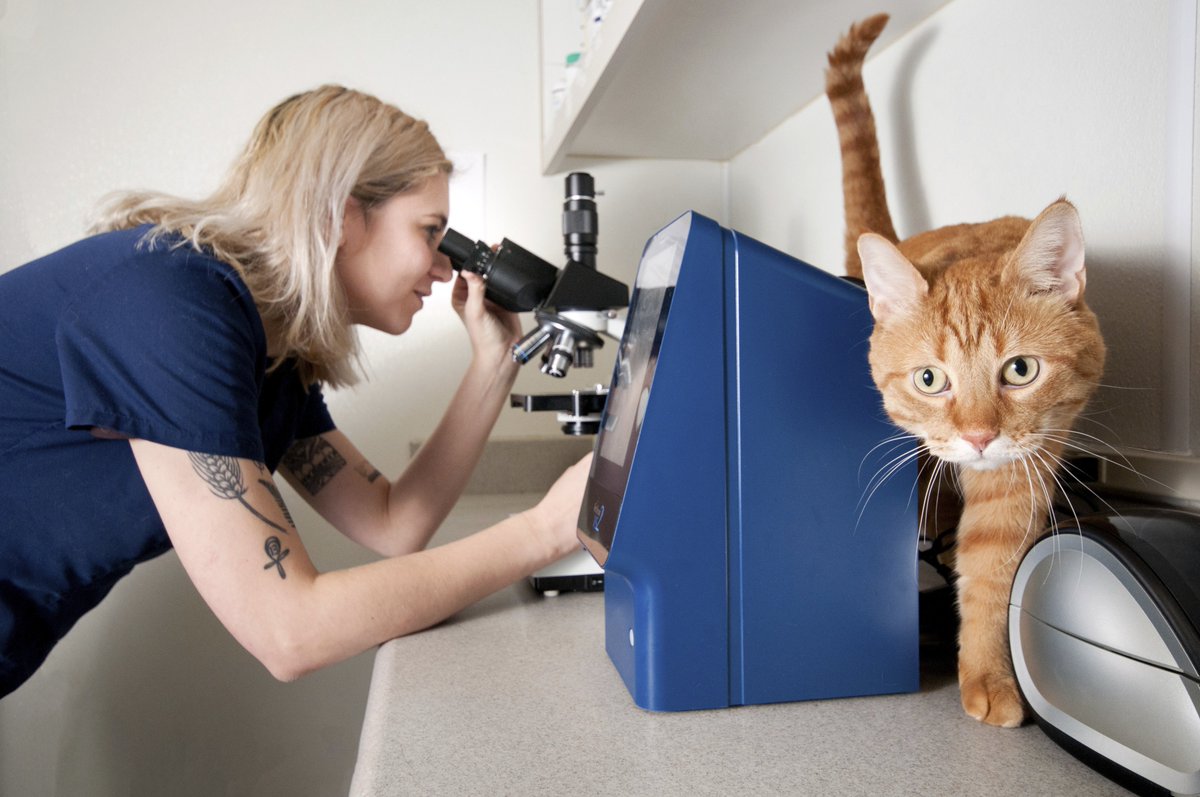 Our photos help you tell YOUR Pet Biz story! Let's show 'em how YOU do  it! :) <a href="/YourPetsWellnes/">Your Pets Wellness</a> did :) #FetchForBusiness #PetPhotographer