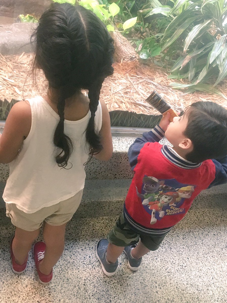 DeeChea11's tweet photo. My smalls 😁 https://t.co/uqCfemORE2