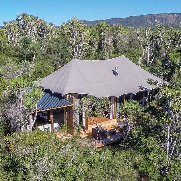 MyTripToAfrica's tweet photo. Enjoy one of Africa's top luxury tented camps. Amazing service at affordable rates @KariegaGameRes @jmakhospitality #africa #amazingsafari https://t.co/DmR7rCvJ5m