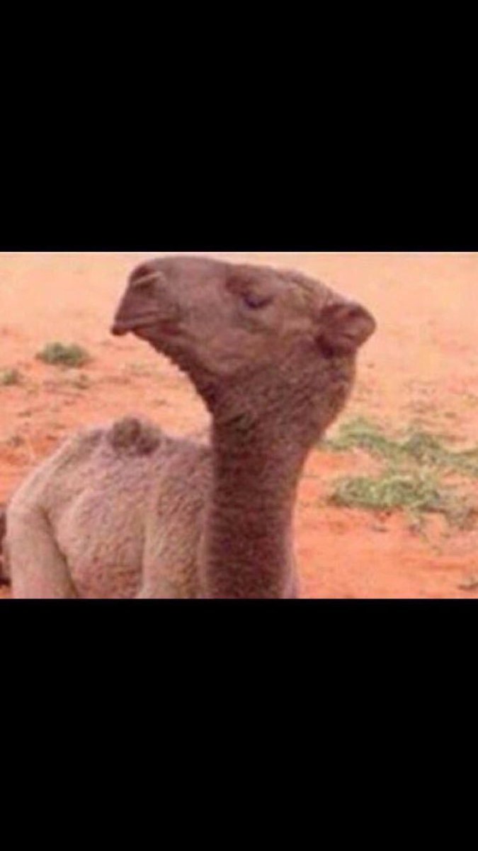 alanod050's tweet photo. والله وصرتي من ضمن الأوامر ولك حقوق😂
 #أوامر_ملكية https://t.co/3woWGTdGKC