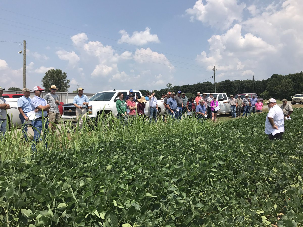 faulkneruada's tweet photo. Great turn out for Conway/Perry Co Row Crop Tour @vanpelt_k @AgWriterArk @3BrosFarms @arksoydoc https://t.co/NZUYzYeYII