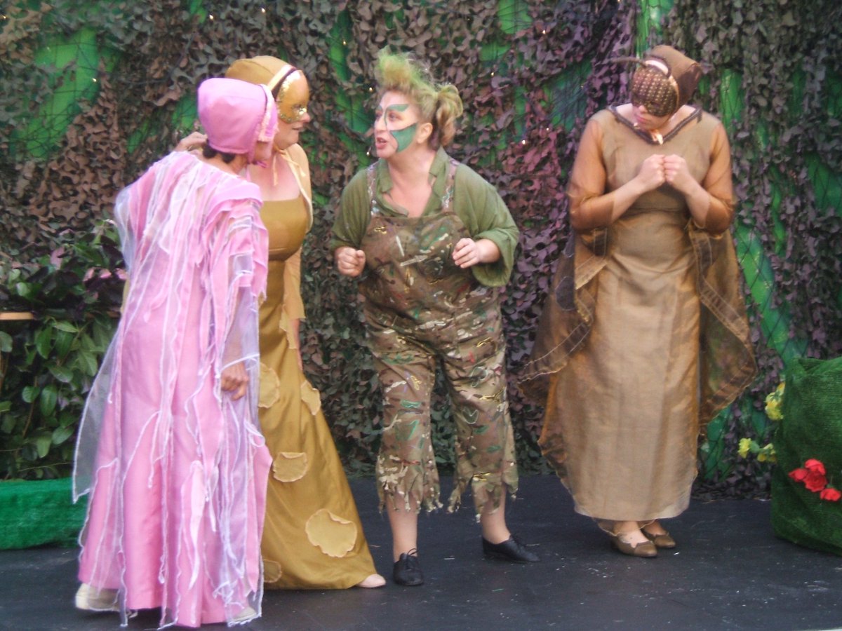 rotherplayers's tweet photo. Here's a few shots from the final dress rehearsal #AMidsummerNightsDream https://t.co/jbbtmEqV8W