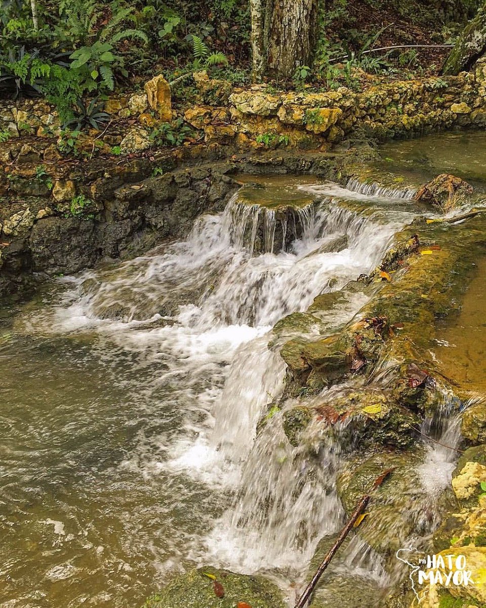 MiHatoMayorRD's tweet photo. #RíoJivales #CañoHondo #ParaísoCañoHondo #LosHaitises #SabanadelaMar #Cascada #Salto #Río #Ecoturismo #HatoMayor #MiHatoMayor https://t.co/v1RVfYuXea