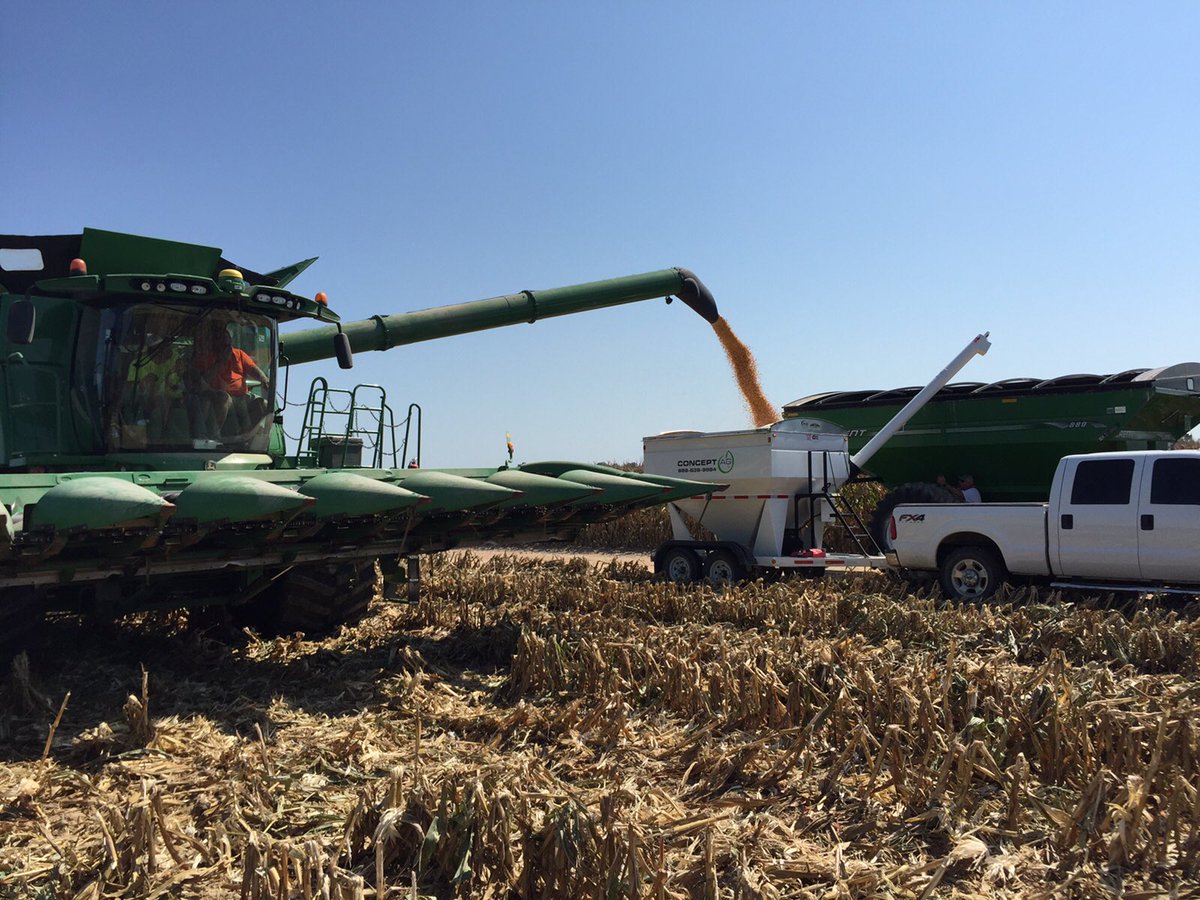 conceptagdaniel's tweet photo. @ConceptAg8306 we have officially started corn harvest is south Arkansas #harvest2017 https://t.co/gs9oOi7ooQ