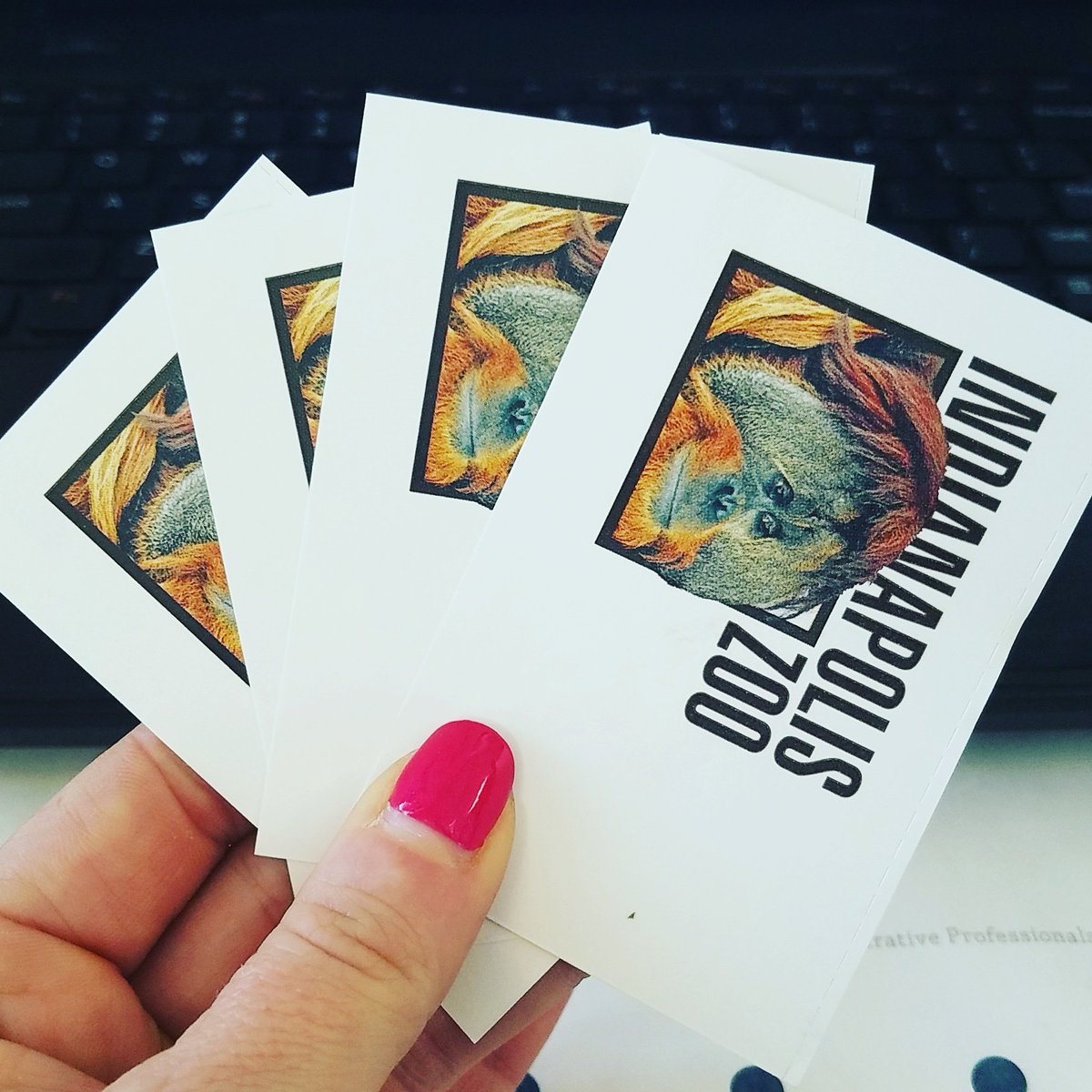 fourdayray's tweet photo. RT TO WIN! It could be your lucky day. We're giving away a 4-Pack of @IndianapolisZoo tickets. We'll pick a winner Monday! https://t.co/8VJ9pacg7c