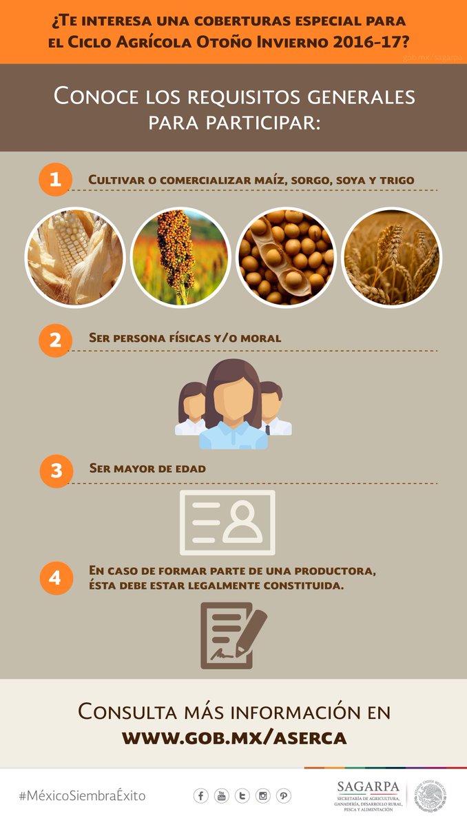 Agricultura_mex's tweet photo. Atender la problemática de comercialización de cosechas excedentarias del Ciclo Agrícola Otoño-Invierno 2016/2017 es una prioridad. https://t.co/btqYPsO8ic