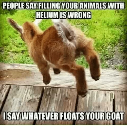 LikeGoatsDaily's tweet photo. https://t.co/xZKW6pKuEO
