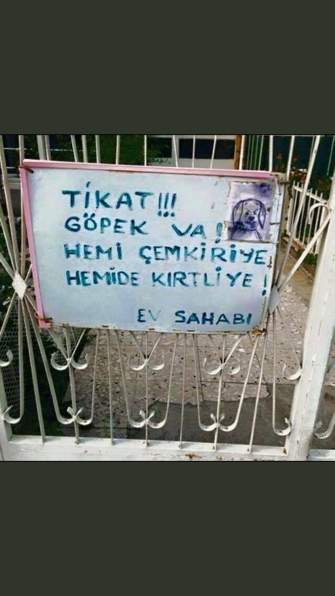 Mustafa Akkaya (@mmustafaakkaya) on Twitter photo 