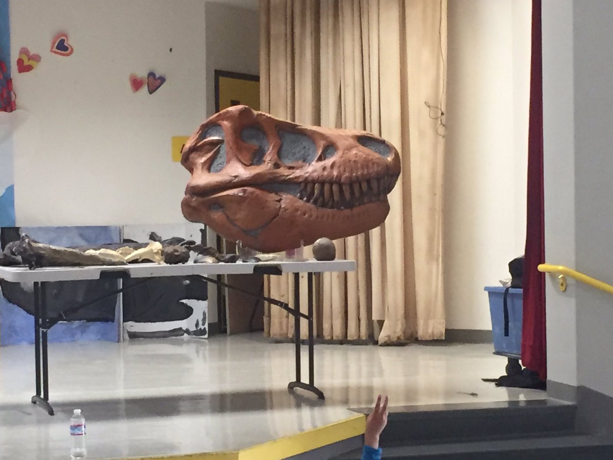 anniesmurphy's tweet photo. Dinosaur's Rock Summer Express assembly! Learning and having fun!! #cusdextensions #cusdrockstar @campbellusd https://t.co/7DCGQa76zq
