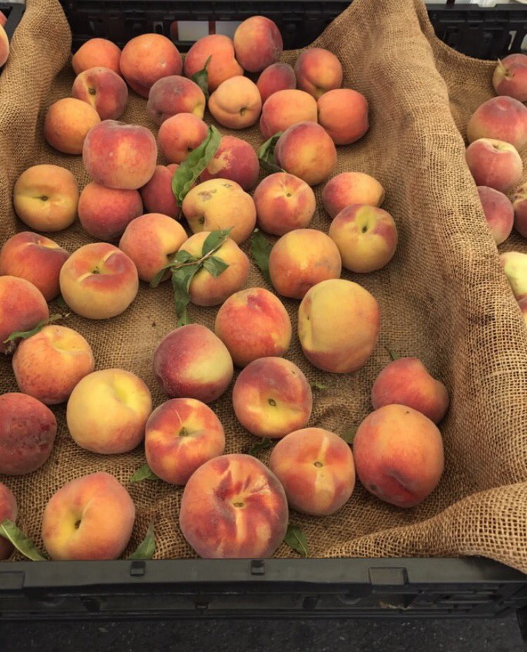 MelrosePlaceFM's tweet photo. #Peaches are a great source of #VitaminC improve your life with this tasty fruit. https://t.co/qFeUjCUgev