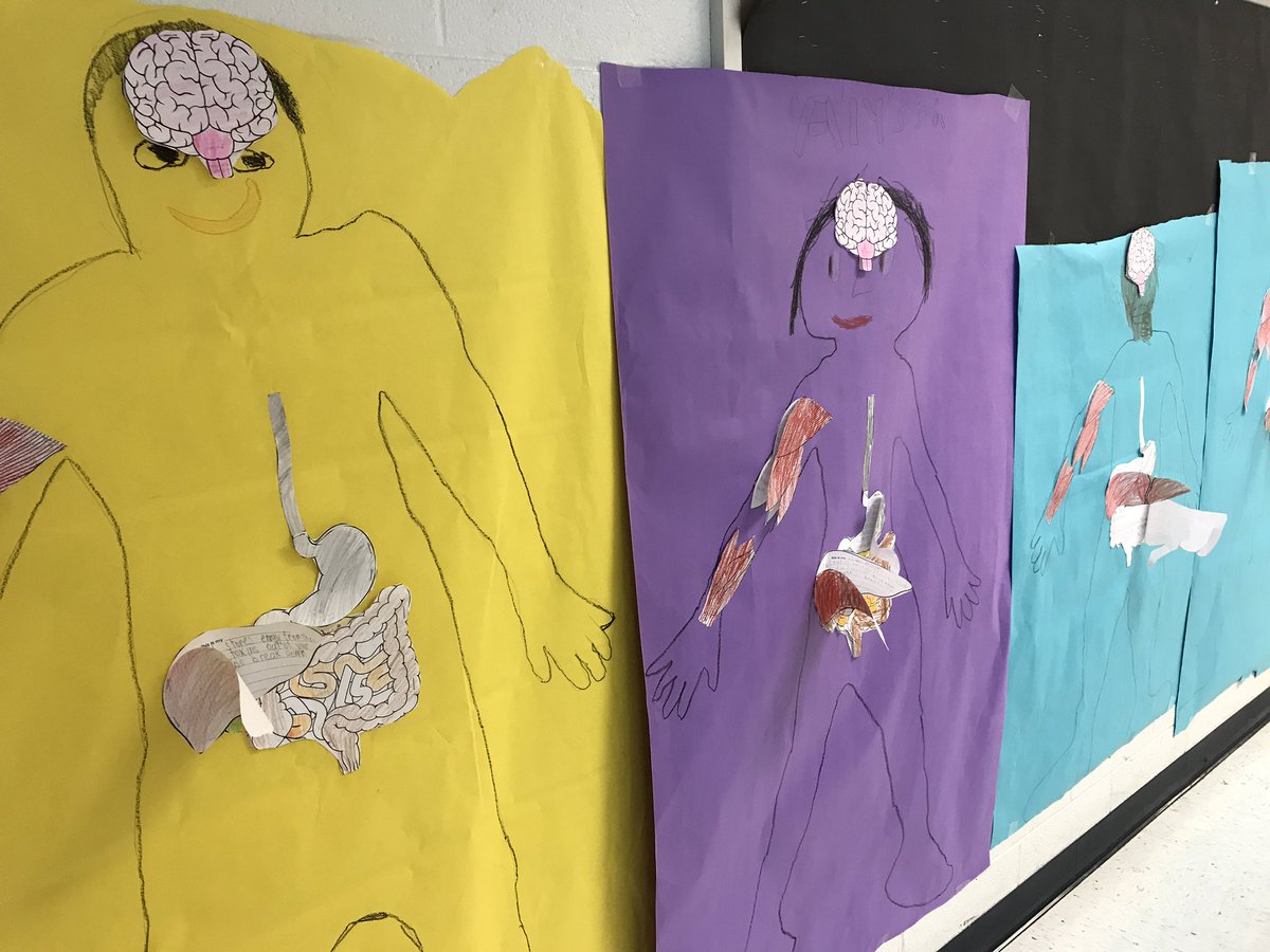 JulieArasi's tweet photo. Young Scholars @SaratogaESFCPS have been adding body systems to their body as we learn them. Added respiratory today! #summeroflearning https://t.co/5DxS5SVxaQ
