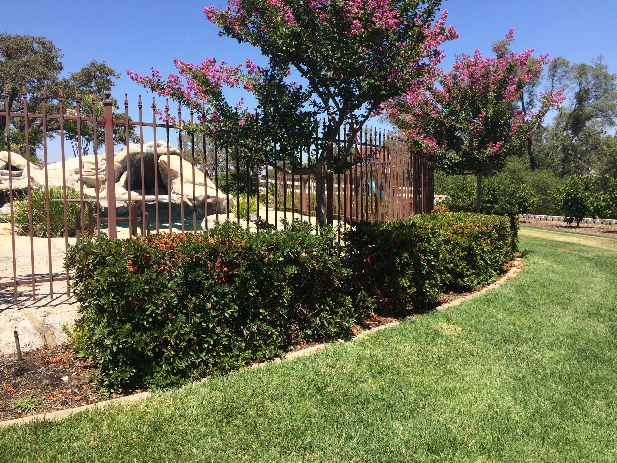 Garrett Penney (penneylawyer) / Twitter