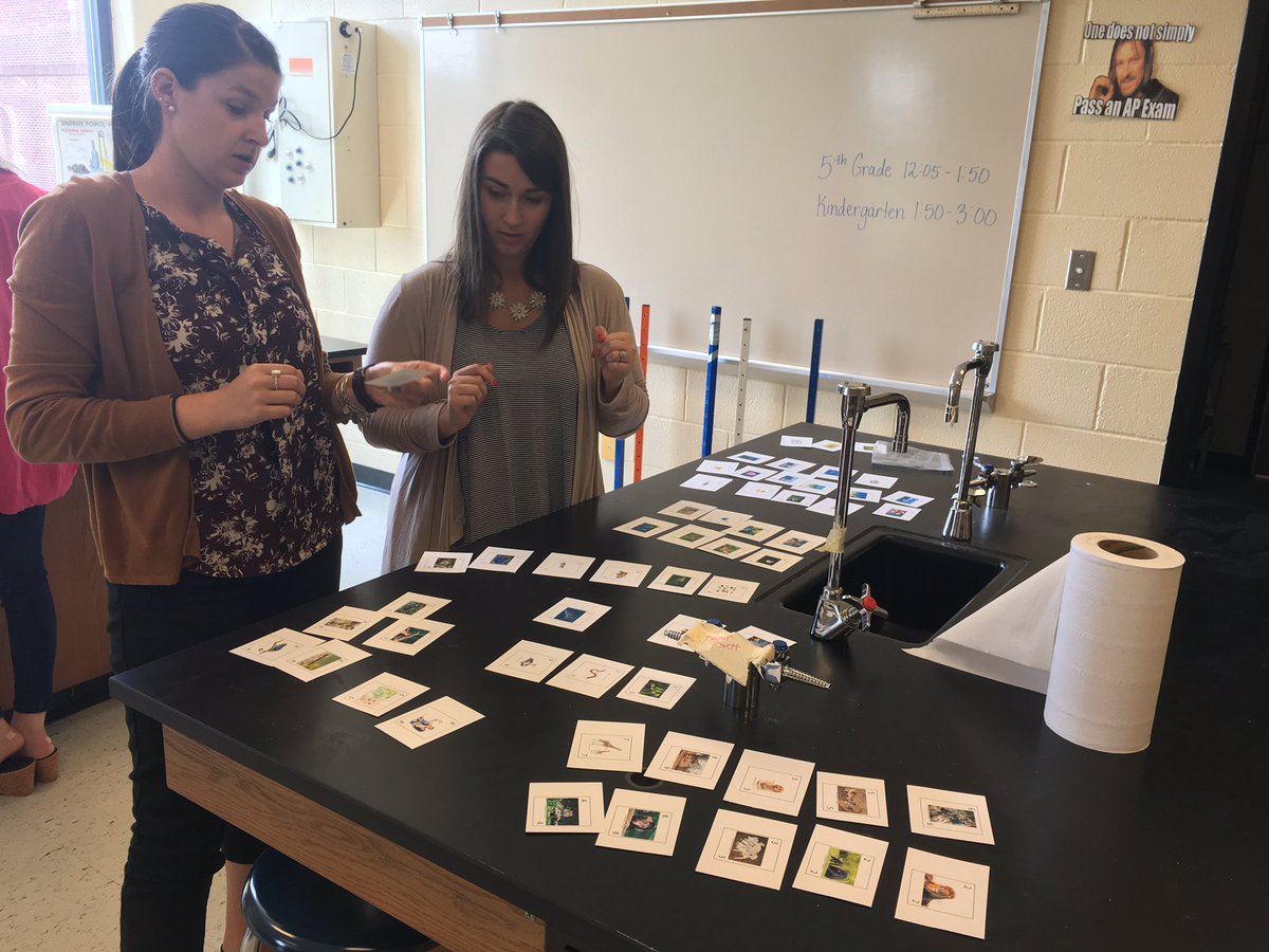 MrsAbbySandlin's tweet image. Kindergarten teachers sort animals by their physical features and discuss extension activities. #cobbNTA2017 #cobbscience