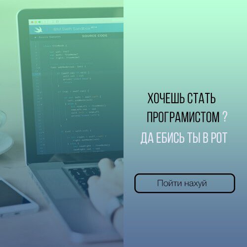 Товарищ Кот (@golden_oar) on Twitter photo 