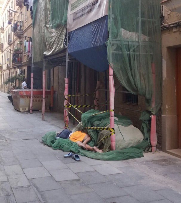 Mostra la imatge al Twitter