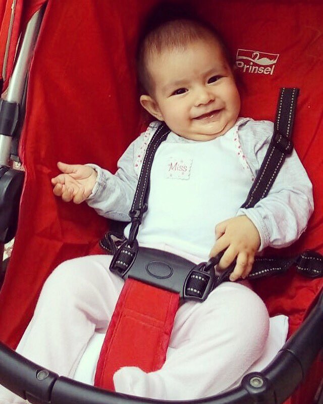 alvarezjulioc_'s tweet photo. Mi changuita bebe! #prinsel #tioculeco #thisislove https://t.co/IhwZlBHpWi