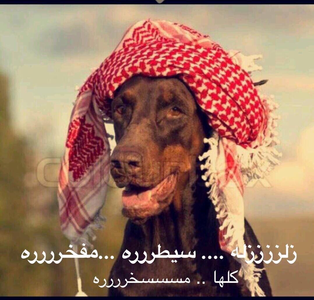 FALCON15BBT's tweet photo. #زلزله_لشاعر_عبدالله_الغيداني

زلزلة 😎 سيطره 😡 مفخره😳
لاوالله إلا مسخرره
#شيلات صاخبه أخرجت لنا جيل مهايطي لا يكترث للعواقب ولا يحترم قيم https://t.co/7BH3Afe7d7