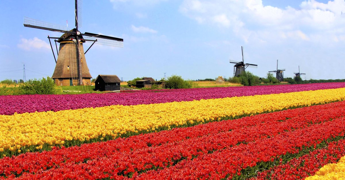 bitmonster01's tweet photo. Bitcoin bubble dwarfs tulip mania from 400… https://t.co/EfNW4fLBoS Ultimate BTC investment 👉 https://t.co/LkA2JiHdKF #bitcoin #bitmonster https://t.co/xPM0tf0oVj