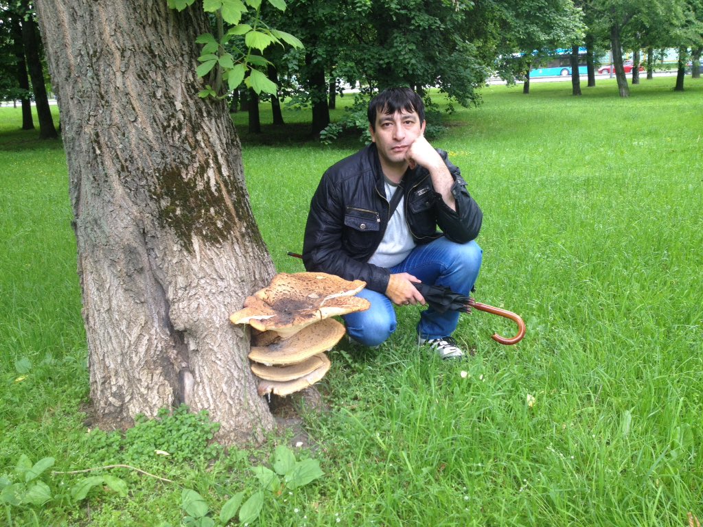 dgamshit's tweet image. 