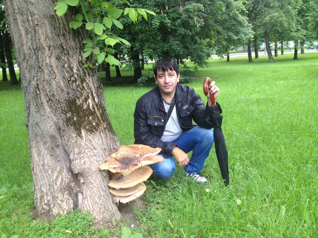 dgamshit's tweet image. 