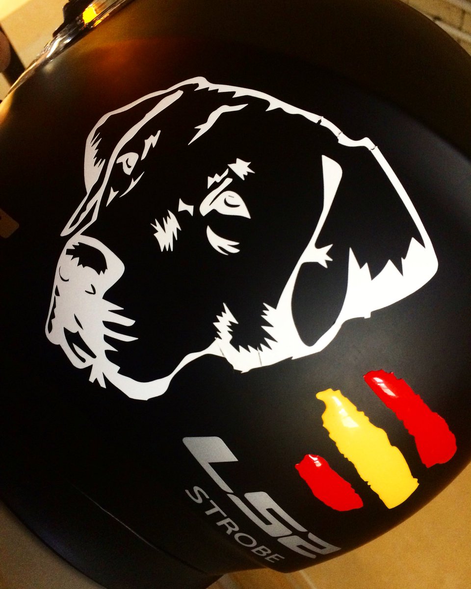 labrador_coco's tweet photo. El casco del bípedo😍 https://t.co/Gh2Dqzaaj3