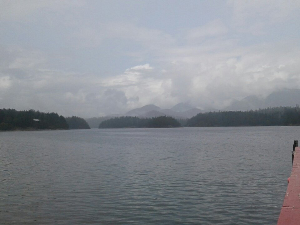 MistickFarm's tweet image. Home sweet home