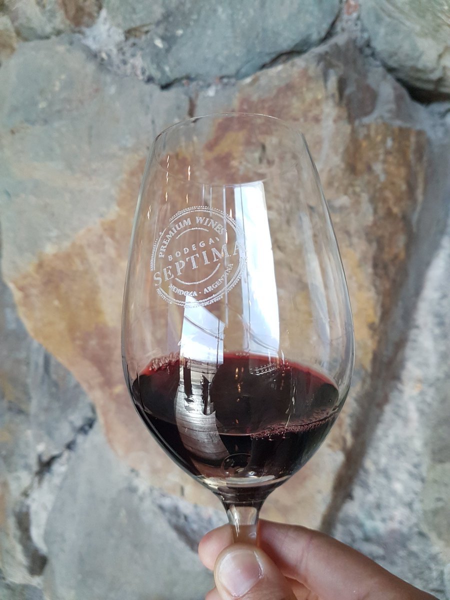 Paula Borgo tweet media