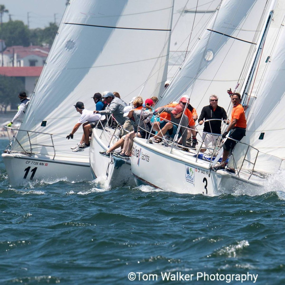 NovamarIns's tweet photo. #UllmanSails #LongBeachRaceWeek #LBRW #sailingregatta #Novamar nsurance #NovamarCraig #TomWalkerPhotography https://t.co/nmwVbrBaN3