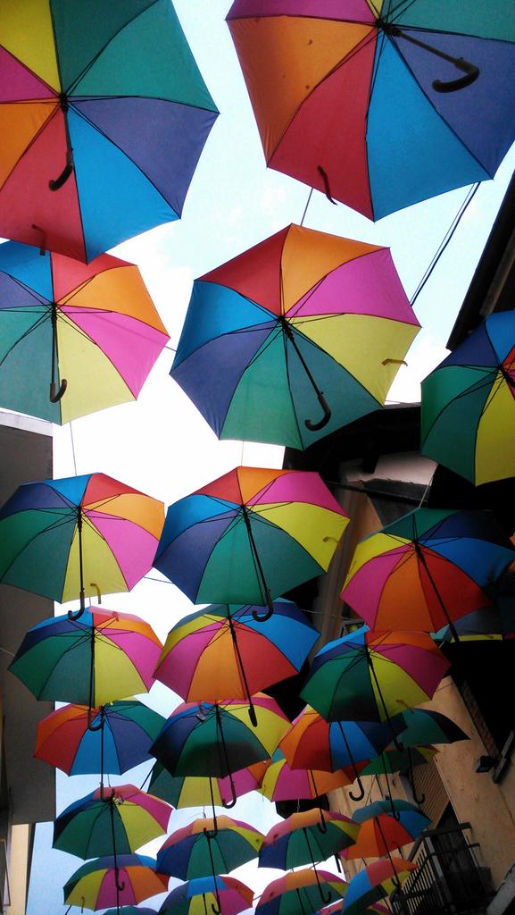 SerenaRgl's tweet photo. Guarda in sú..
#ombrelli #Umbrella #strada #via #colori #estate #street #view #colours #lookup #summer https://t.co/TEJKZtOACG