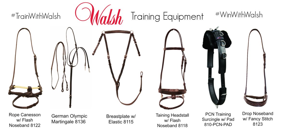 walshproducts's tweet image. Go #BeyondHalters and shop Walsh's world class Training Line now! walshproducts.com/equestrian/tra…
#WinwithWalsh #TrainwithWalsh