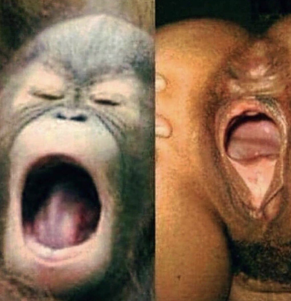 TheRealA_Yo's tweet photo. Yo 😳 I'm done 😂😂 https://t.co/g8g0tKfxV2