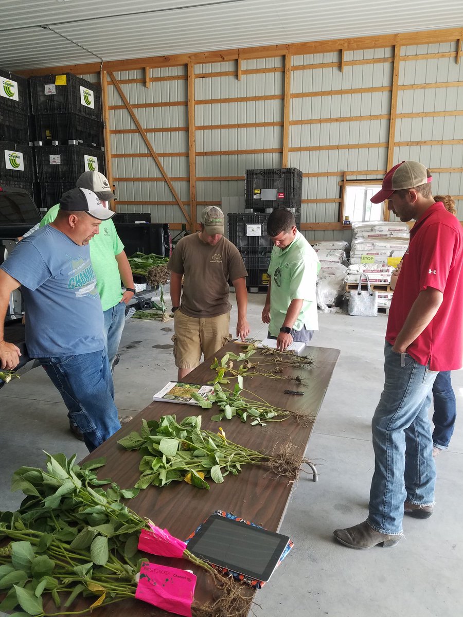 osu1ag's tweet photo. Disease ID crop shop today.  #SDS #BSR #GLS #NCLB #commonrust #fungicides were part of the discussion also.  Which product and when.#smsaw https://t.co/jy01sP6xHP