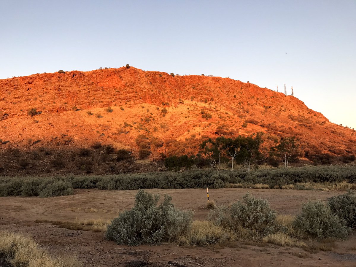 Damien Ryan tweet media