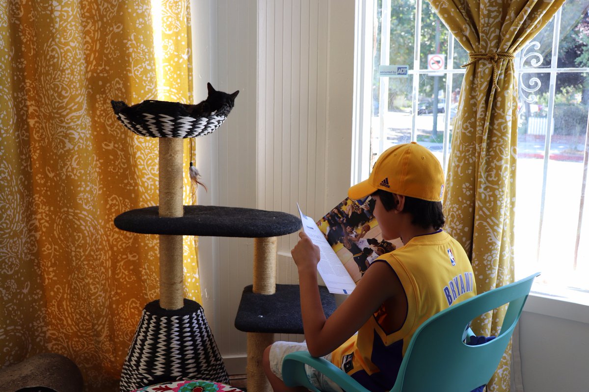 sanjoselibrary's tweet photo. Thank you @TheDancingCatSJ for helping to host such an awesome #storytime yesterday! #Cats #Libraries #RightToLibrary #ReadingToCats https://t.co/ybcuFVGRjs