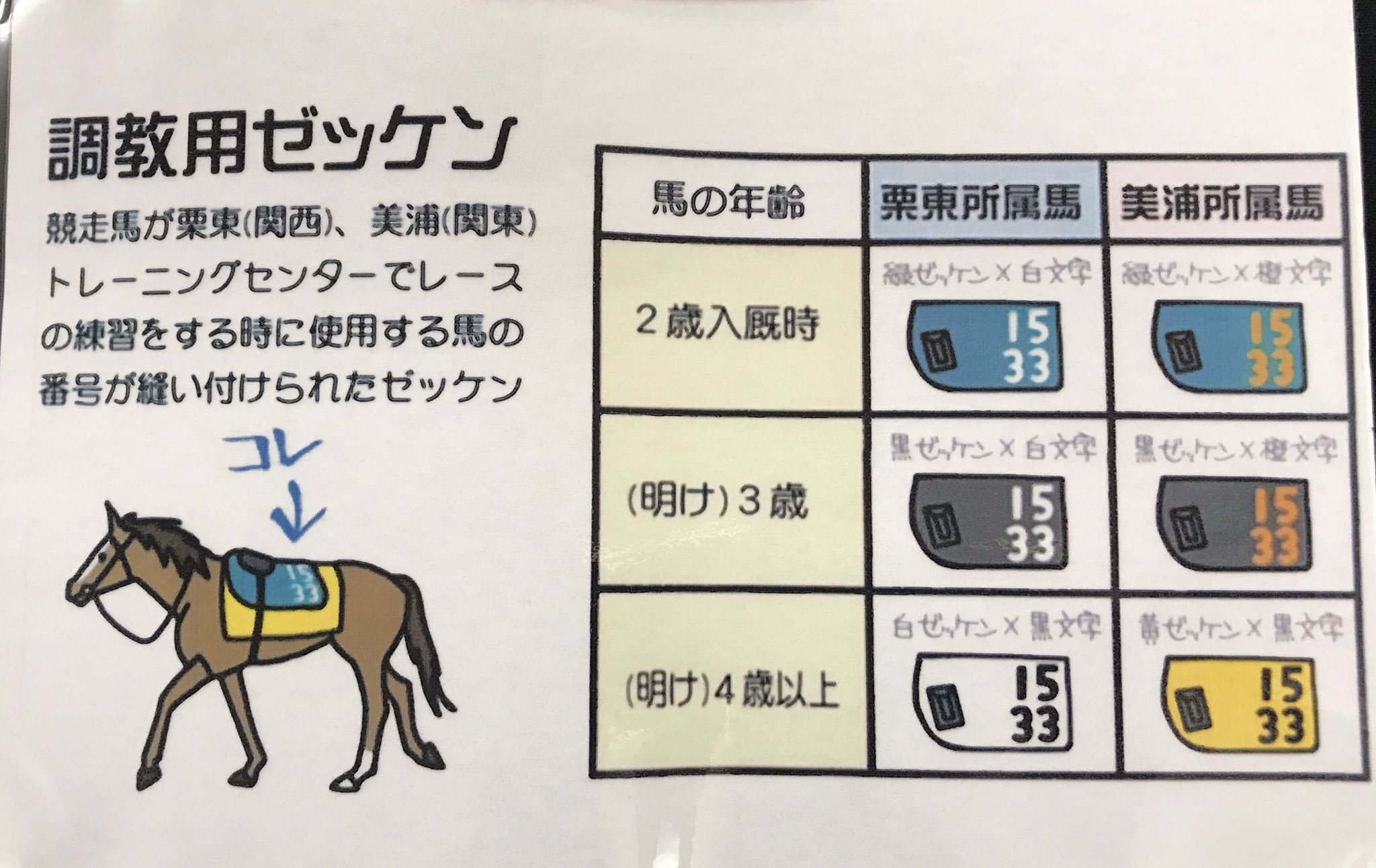 競馬　競走馬 実使用ゼッケン ビービースカット 馬ゼッケンチャーム ミニサイズ 【オーダー品】功労馬繋養支援