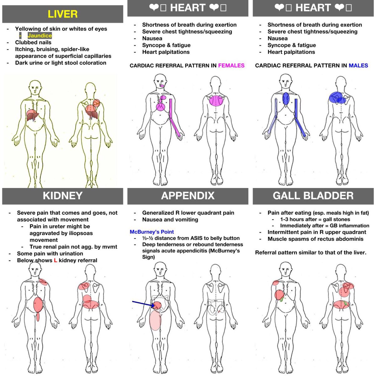 organ-pain-referral-patterns