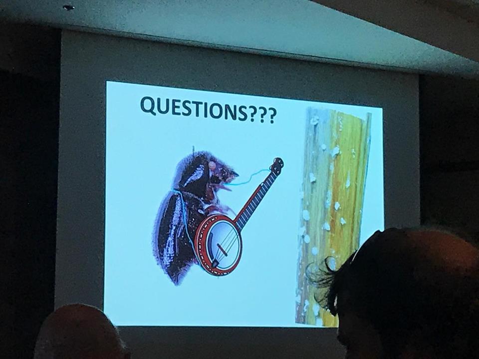 BackyardBeetles's tweet photo. Also, the coolest #MSA2017 closing slide goes to @kasson_wvu https://t.co/0pTYoEGr0D